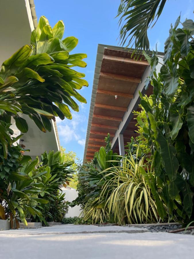 Royal Stay Inn Thoddoo Exterior foto